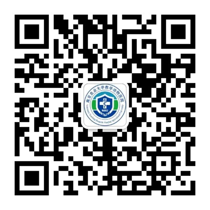 Scan WeChat
